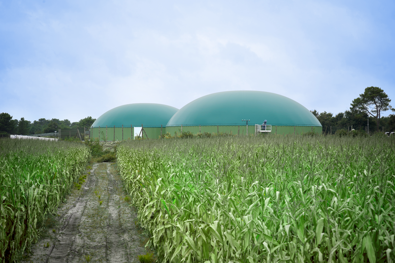 Biogas production site6 © Virginie de la Hija